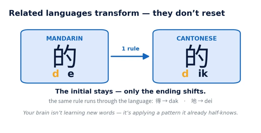 How Mandarin 的 (de) becomes Cantonese dik — the initial sound stays, only the ending changes